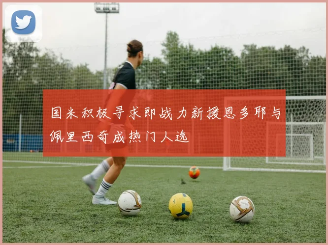 国米积极寻求即战力新援恩多耶与佩里西奇成热门人选